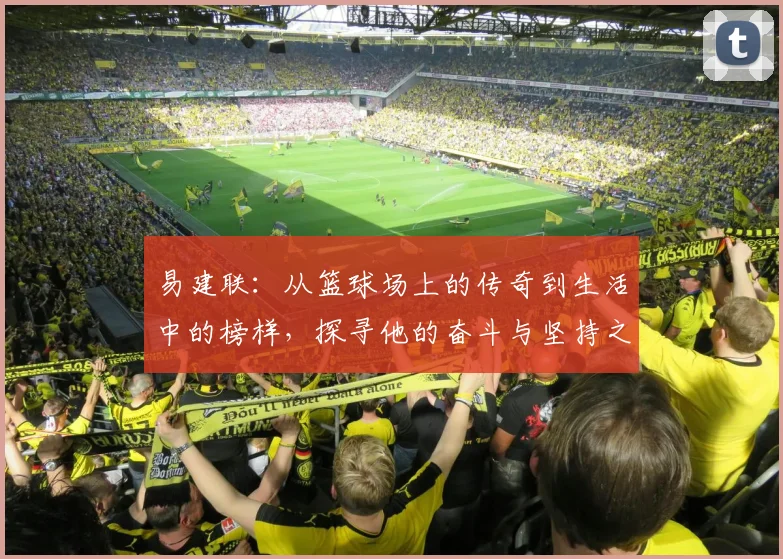 易建联：从篮球场上的传奇到生活中的榜样，探寻他的奋斗与坚持之路