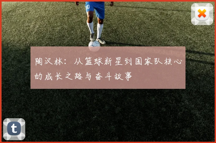 陶汉林：从篮球新星到国家队核心的成长之路与奋斗故事