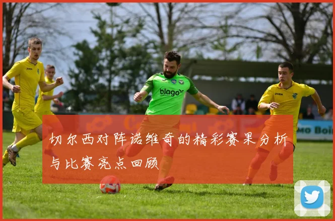 切尔西对阵诺维奇的精彩赛果分析与比赛亮点回顾