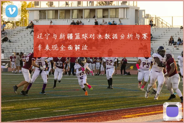 辽宁与新疆篮球对决数据分析与赛季表现全面解读